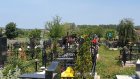 По кладбищу в Богословке вновь бродят лошади