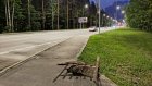 Пензенцы рискуют упасть в яму у остановки «Улица Попова»