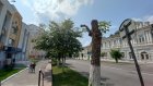 Деревья на ул. Куйбышева не смогли восстановиться после кронирования