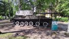 История Пензы: В Пионерском сквере стоит редкая «Акация»