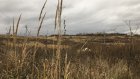 119 пензенских многодетных семей получат землю в Заре