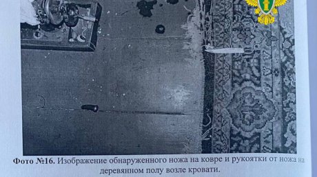 В Лунинском районе девушка в сердцах убила нагрубившего ей отца