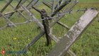 Колбаса — 400 рублей, помидоры — 200, военная форма — 10 000. На что тратят деньги участники СВО и кто наживается на солдатах?