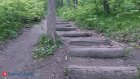 Практическая магия летнего леса