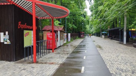 «Стыдоба»: пензенцев возмутила реклама на Олимпийской аллее