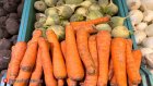 Россиянам раскрыли список дешевых продуктов в июле