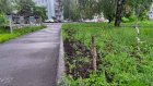 На Западной Поляне появился мини-сквер «Палки и коряги»