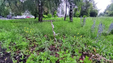 На Западной Поляне появился мини-сквер «Палки и коряги»