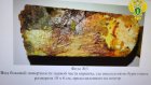 Жительница Вадинского района избила скандалившего брата кирпичом