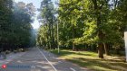 Россиянам назвали снижающую давление привычку