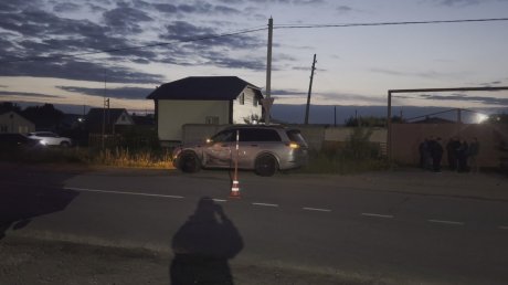 В ДТП под Кузнецком пострадали двое детей