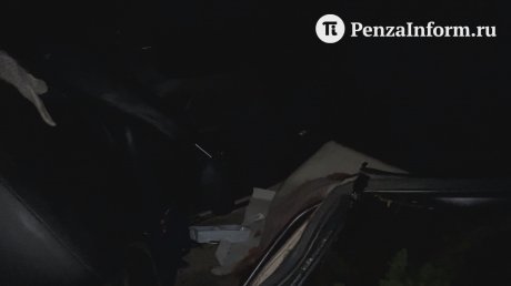 В Лунинском районе ВАЗ с молодыми людьми слетел в кювет