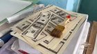 В Пензе вынесли приговор за подделку 100-долларовых купюр