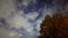 В Пензенской области продлено действие плана «Ковер»