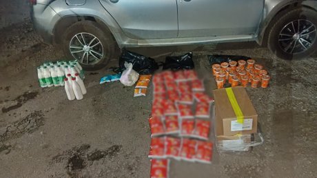 Житель Пензенской области сделал бизнес на краже молока
