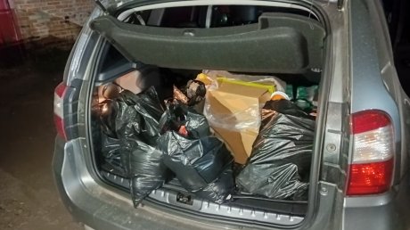 Житель Пензенской области сделал бизнес на краже молока