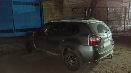 Житель Пензенской области сделал бизнес на краже молока