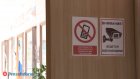 ЕГЭ: в Пензенской области 7 человек попались с телефонами и шпаргалками