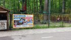 С Олимпийской аллеи убрали разозливший людей баннер с пятками