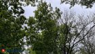 30 июня в Пензенской области будет ветрено