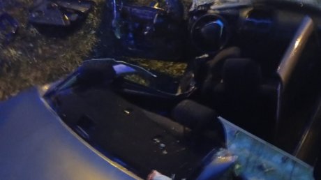 Появились новые кадры с места трагедии в Городищенском районе