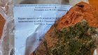 Жительница Спасска напала с кирпичом на полицейского