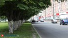 4 июля в Пензенской области температура поднимется до +29