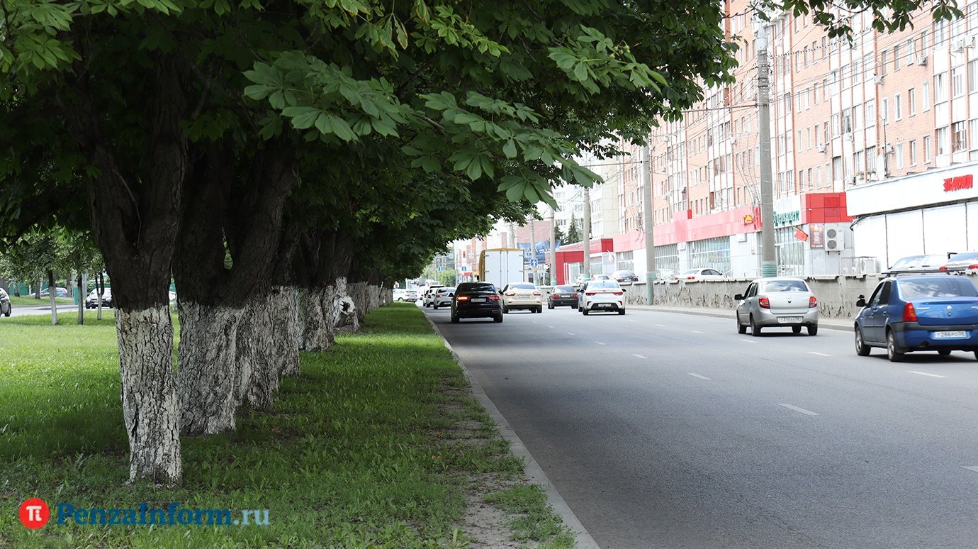 4 июля в Пензенской области температура поднимется до +29