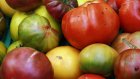 Некоторые овощи подорожали из-за обильных дождей