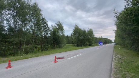 Погиб ребенок: появились новые кадры с места трагедии под Пензой