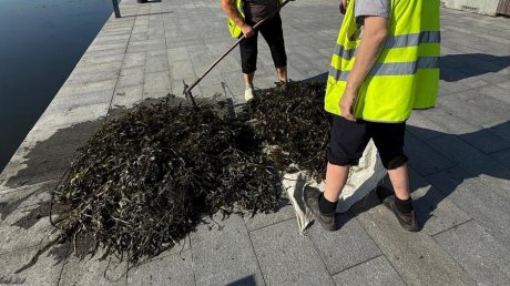 В Пензе Суру у набережной расчистили от водорослей