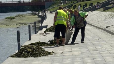 В Пензе Суру у набережной расчистили от водорослей