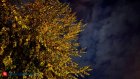 В Пензенской области ввели режим «Беспилотная опасность»