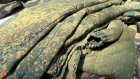 Назван предельный срок обороноспособности Украины без поставок США