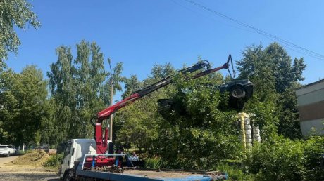 С ул. Онежской в Пензе убрали Ford, скрывавшийся за ветками