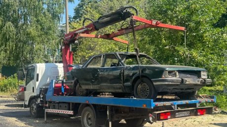 С ул. Онежской в Пензе убрали Ford, скрывавшийся за ветками