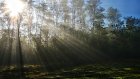Перечислены симптомы солнечного удара