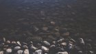 Россиянам предложат воду из навоза