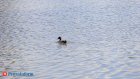 Россиян призвали избегать купания в одном типе водоемов