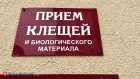 Пензенцы стали чаще находить на себе клещей