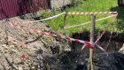 После падения ребенка ямы в Сурске обнесли сигнальными лентами
