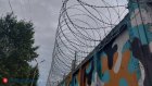 В Пачелмском районе сын выстрелил из ружья в лицо матери