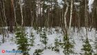 В п. Земетчино осудили охотника, застрелившего человека