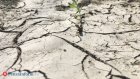 Психолог рассказала о вреде жары для мозга