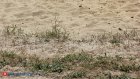 Два ребенка погибли на песчаном карьере в российском регионе