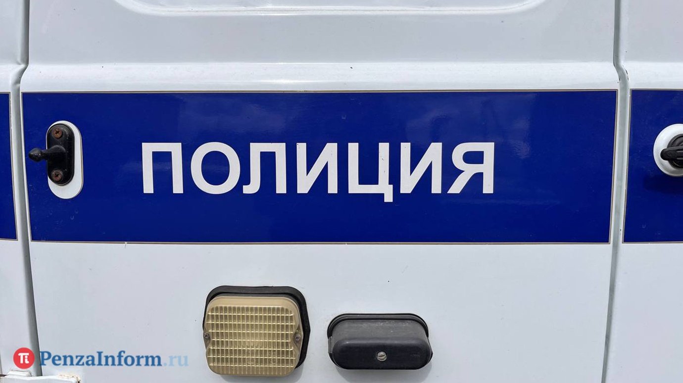 Жительницу Нижнеломовского района избили из-за расстроенного ребенка