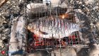 Пензенцы забыли о запрете готовить пищу на углях