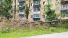 На участок у сквера «Бессмертный полк» рухнула увесистая ветка