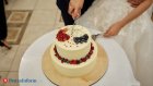 За полгода 1 337 пар получили сертификаты на медобследование