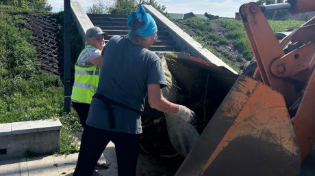 Суру в районе набережной вновь вручную расчистили от водорослей